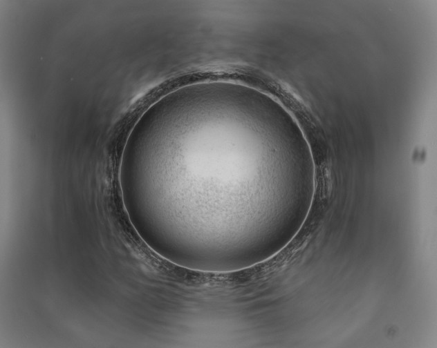 X0000091471158200708161353