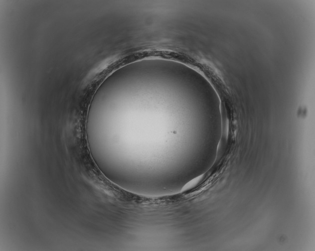 X0000091471159200708161353