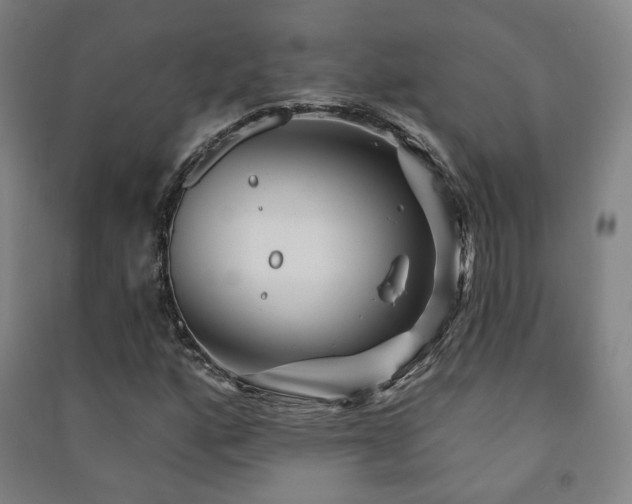 X0000091471160200708161353