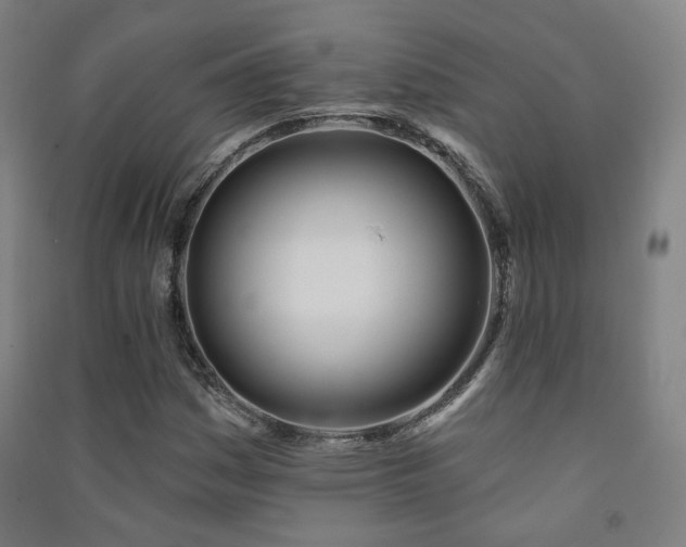 X0000091471161200708161353