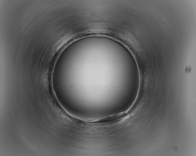 X0000091471162200708161353