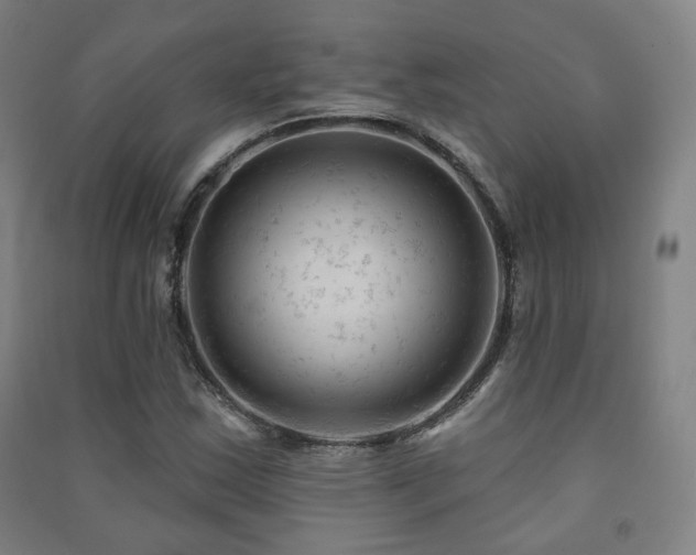 X0000091471163200708161353
