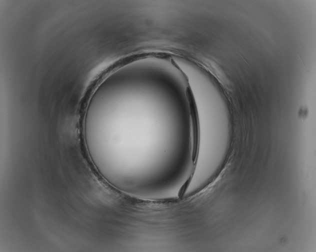 X0000091471164200708161353
