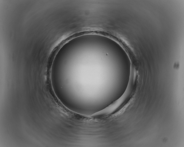 X0000091471165200708161353