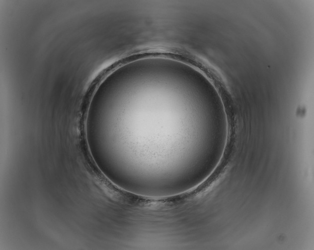 X0000091471166200708161353