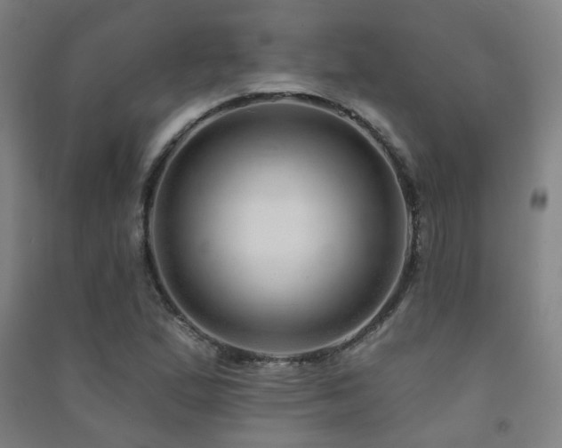 X0000091471167200708161353