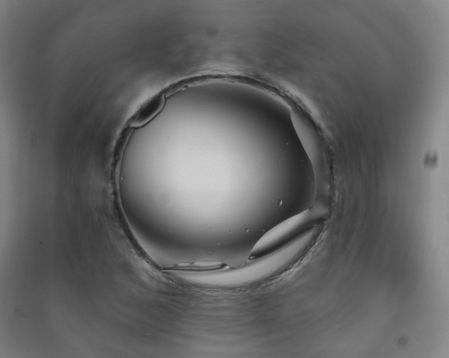 X0000091471168200708161353