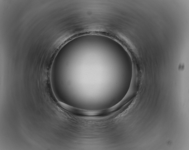 X0000091471169200708161353