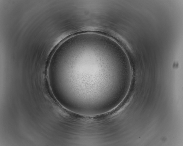 X0000091471170200708161353