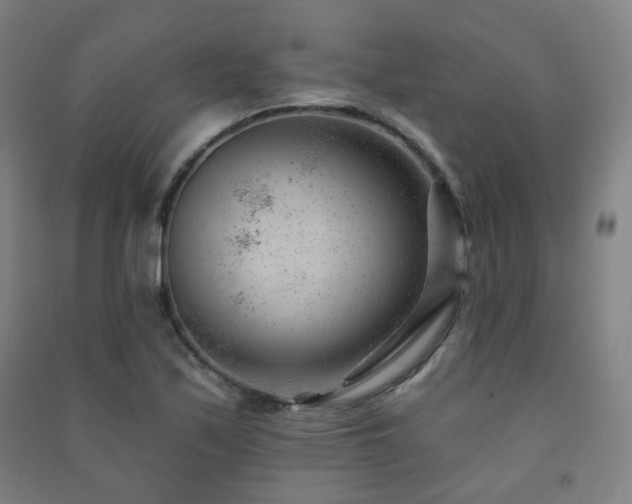 X0000091471171200708161353