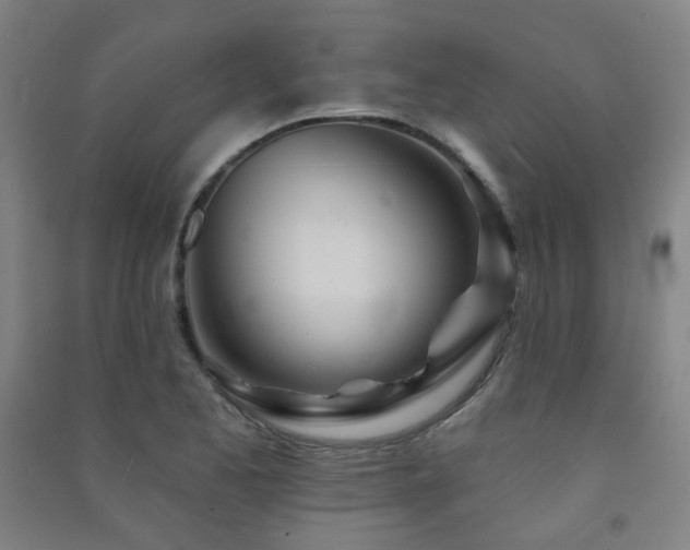 X0000091471173200708161353