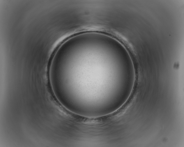 X0000091471174200708161353