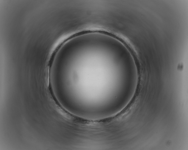 X0000091471175200708161353
