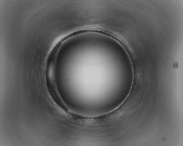 X0000091471176200708161353