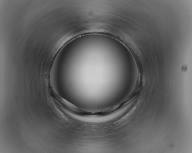X0000091471177200708161353