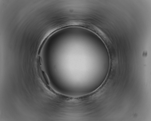 X0000091471178200708161353