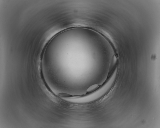 X0000091471179200708161353
