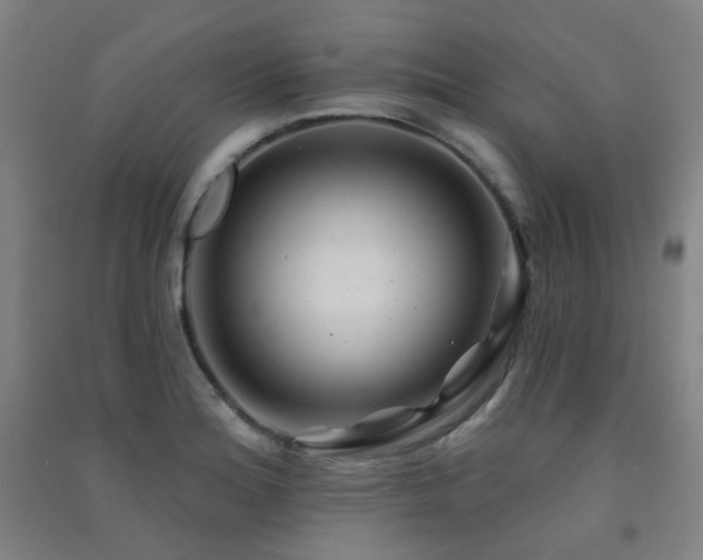 X0000091471180200708161353