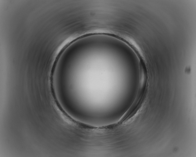 X0000091471181200708161353