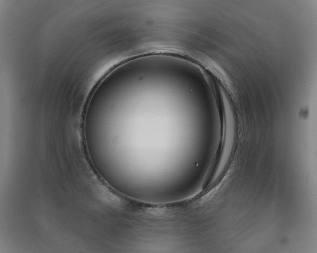 X0000091471182200708161353