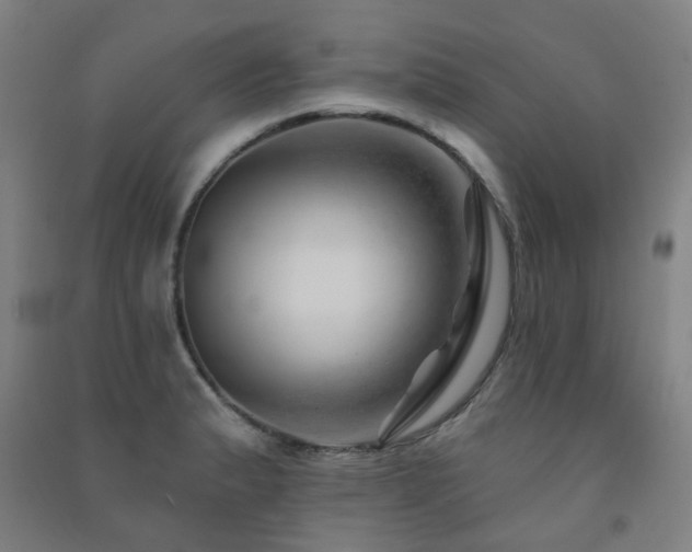X0000091471183200708161353