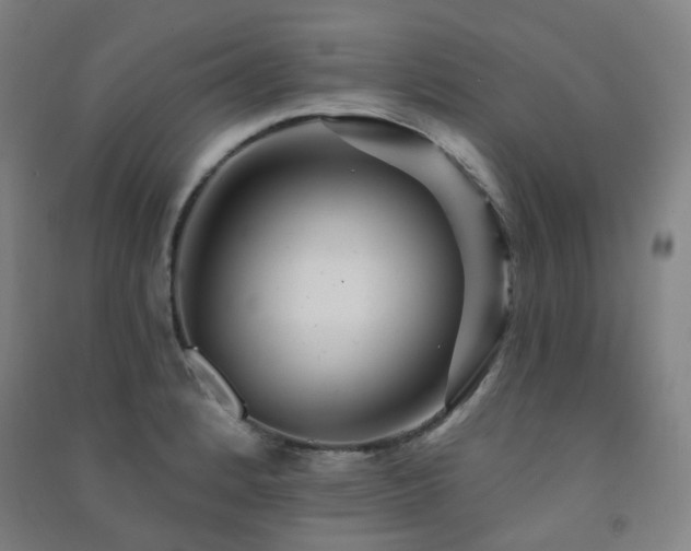 X0000091471184200708161353
