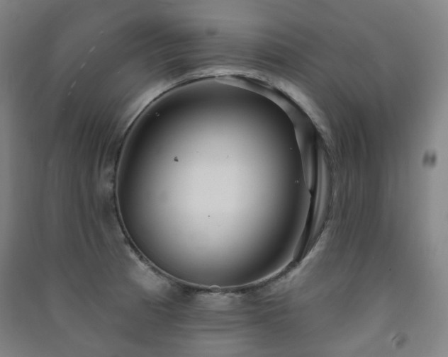 X0000091471185200708161353