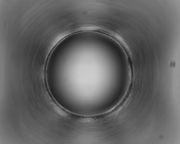 X0000091471186200708161353