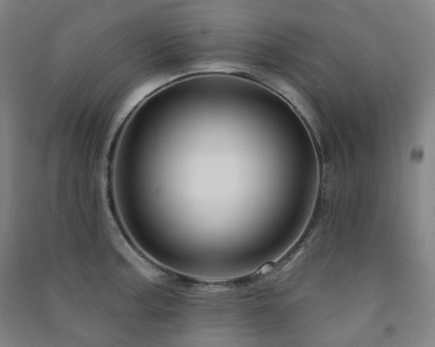 X0000091471187200708161353