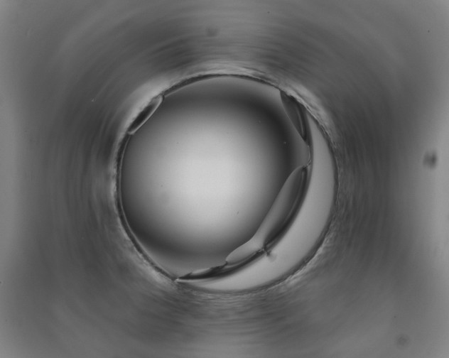 X0000091471188200708161353