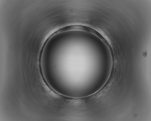 X0000091471189200708161353