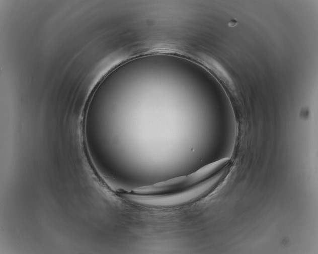 X0000091471190200708161353