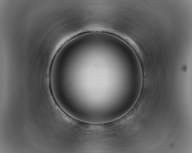 X0000091471191200708161353