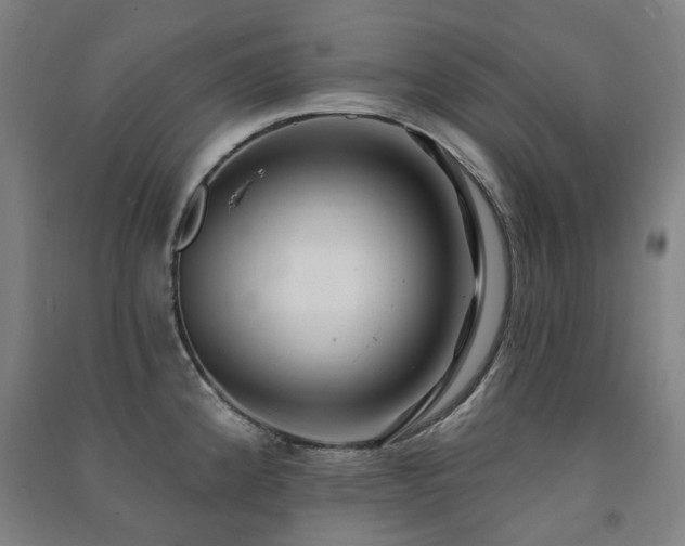 X0000091471192200708161353