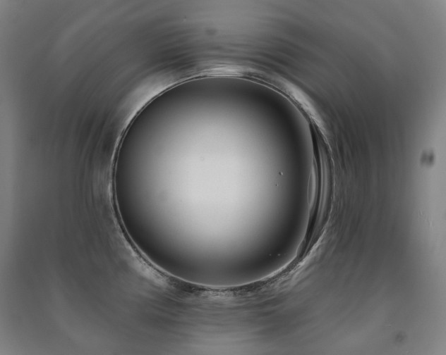 X0000091471194200708161353