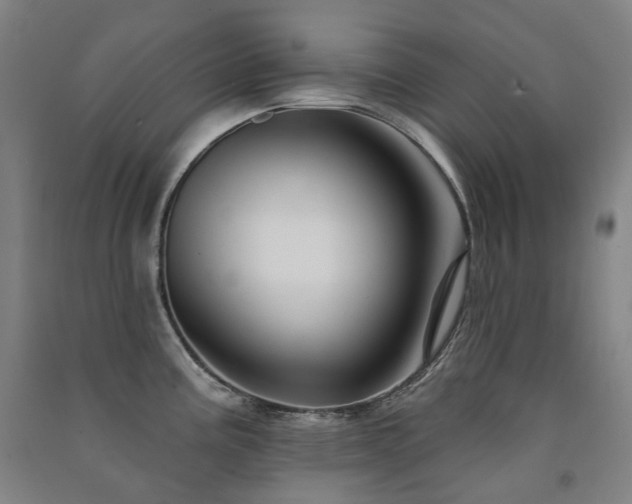 X0000091471195200708161353