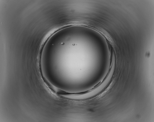 X0000091471196200708161353
