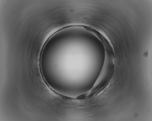 X0000091471197200708161353