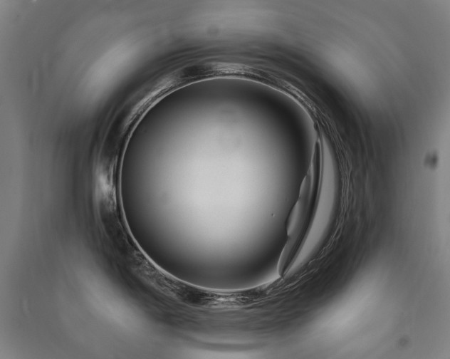 X0000091471198200708161353