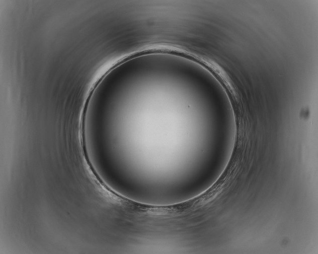X0000091471199200708161353