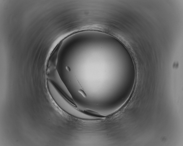 X0000091471200200708161353