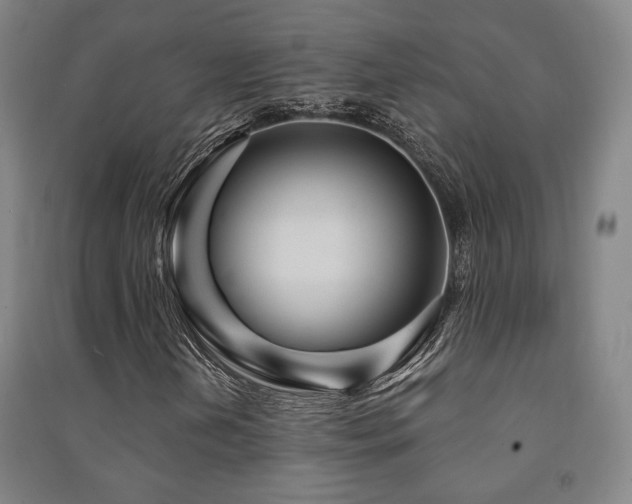 X0000091471202200708161352
