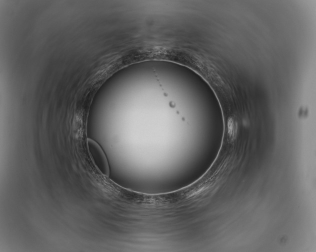X0000091471203200708161352