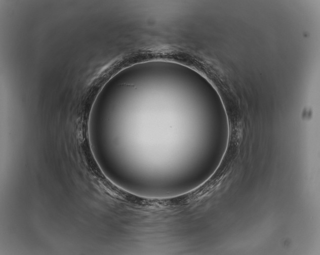X0000091471205200708161352
