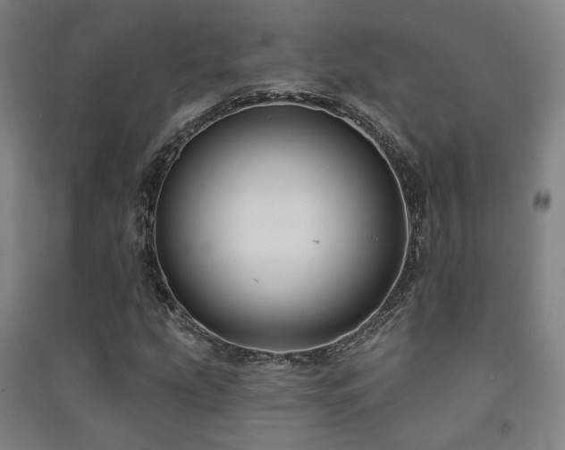 X0000091471207200708161352