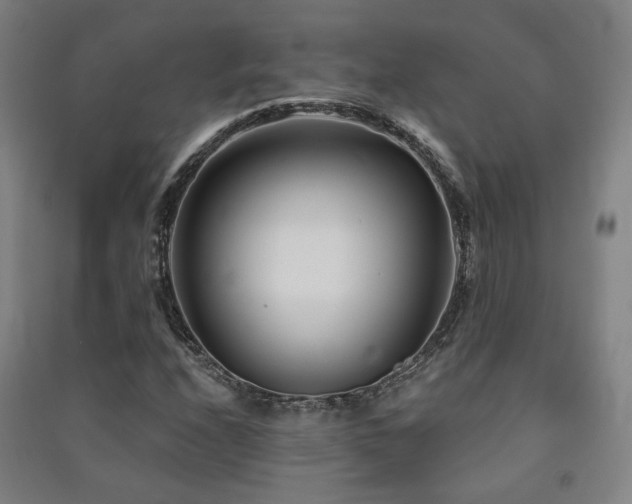 X0000091471208200708161352