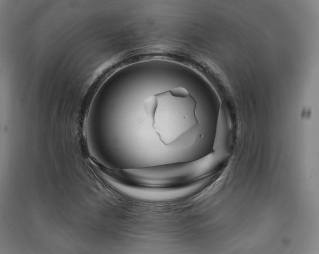 X0000091471210200708161352