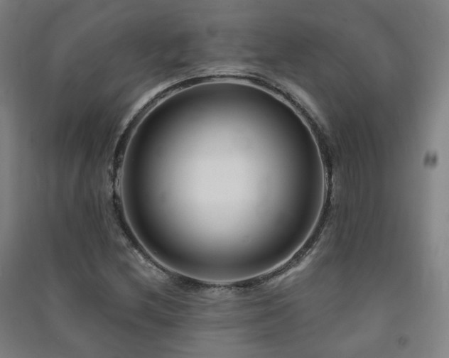 X0000091471212200708161352