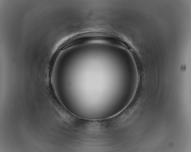 X0000091471214200708161352