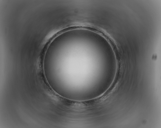 X0000091471215200708161352